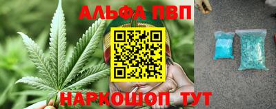 стаф Анжеро-Судженск